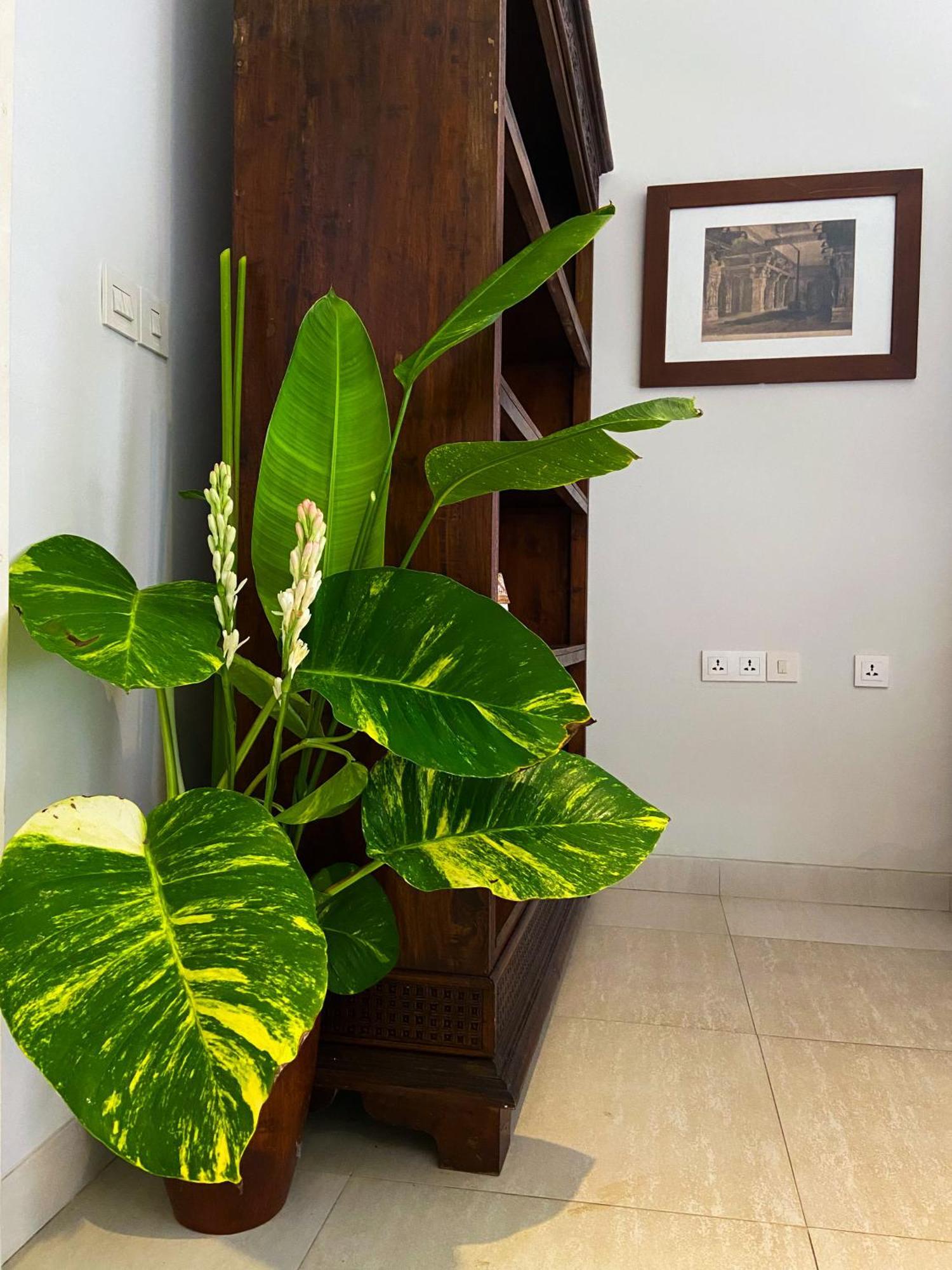 Raaga Samudra Villa Падангбай Екстериор снимка